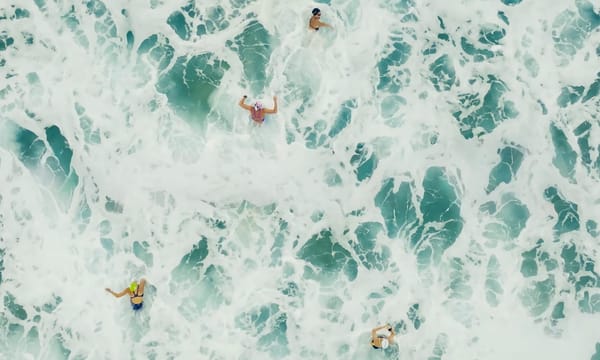 Pre-race: T100 Gold Coast